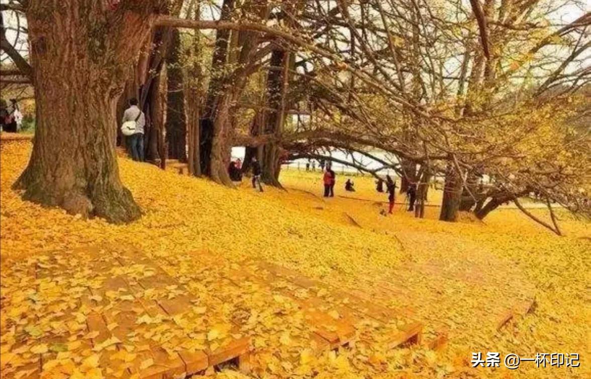 难得遇见（难得遇到一次是什么意思？）