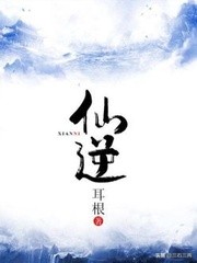 网站搭建网站运营方案模板