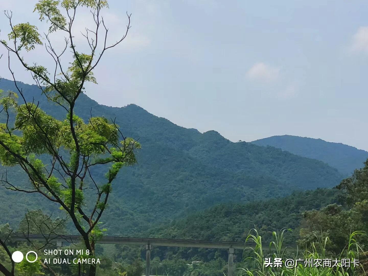 增城二手