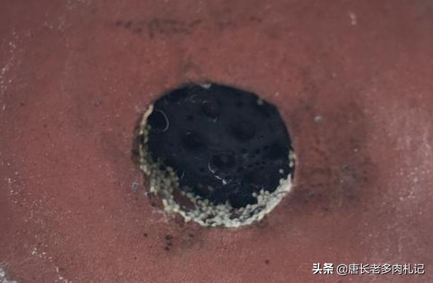 北极鲶鱼海外生活，北极鲶鱼海外生活在哪里