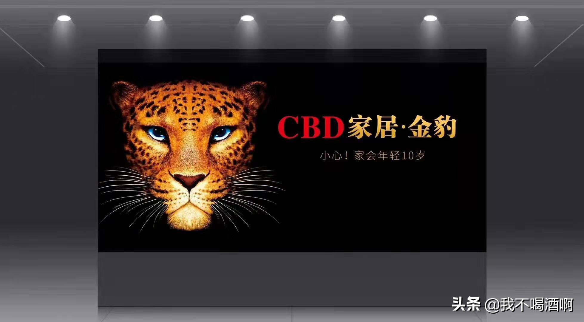 沙发皮质-沙发皮质有哪些种类