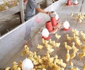 企业如何搭建网站建设
