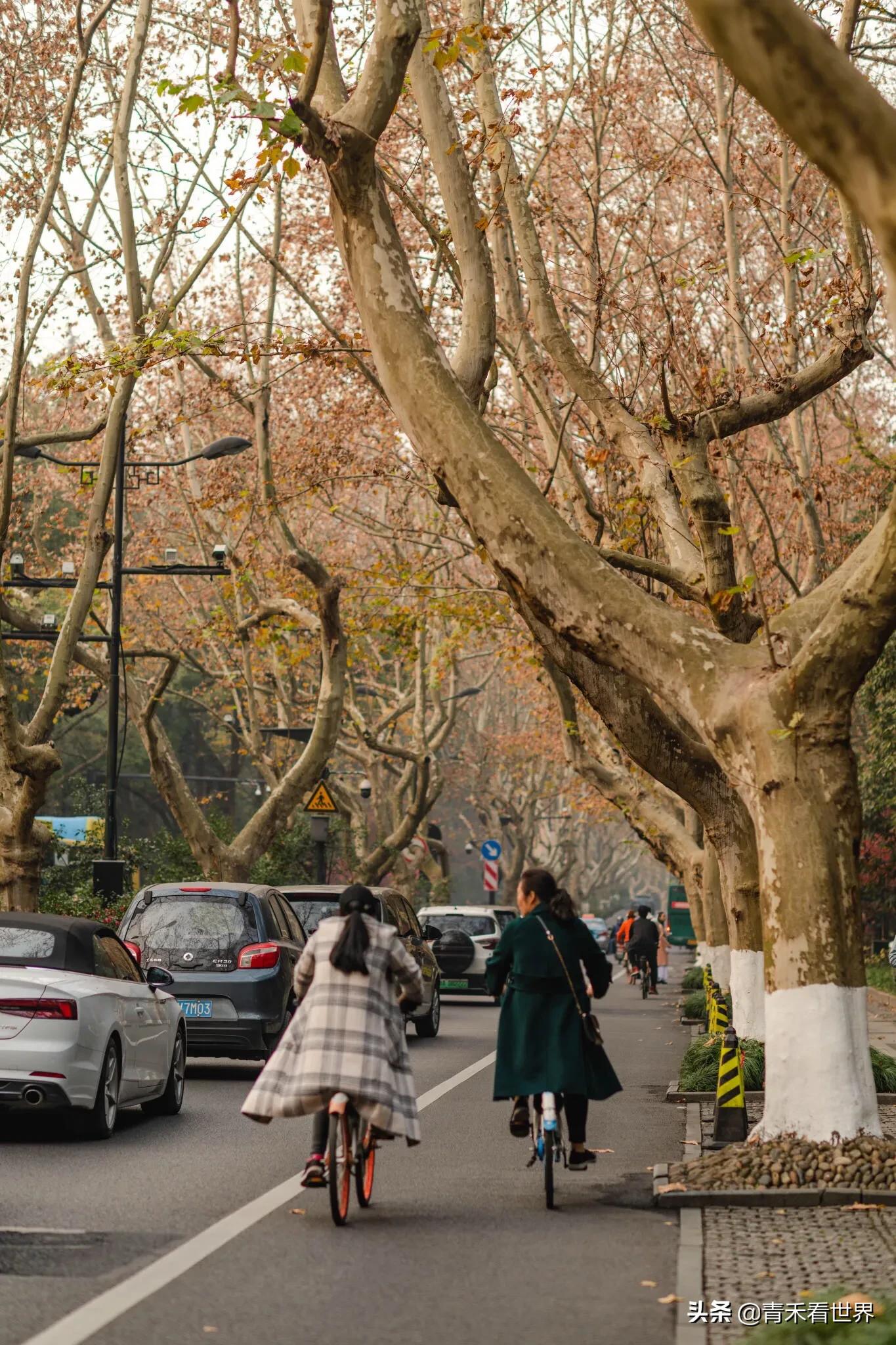 杭州市区有什么好玩的？