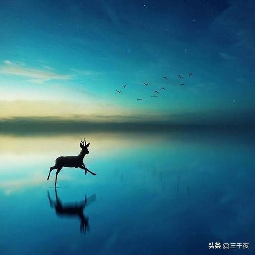 [不折叠输入法]微脉输入法怎么用不折叠？