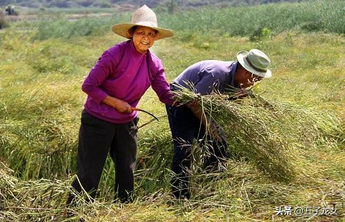 中国有多少人海外生活的，中国有多少人海外生活的人