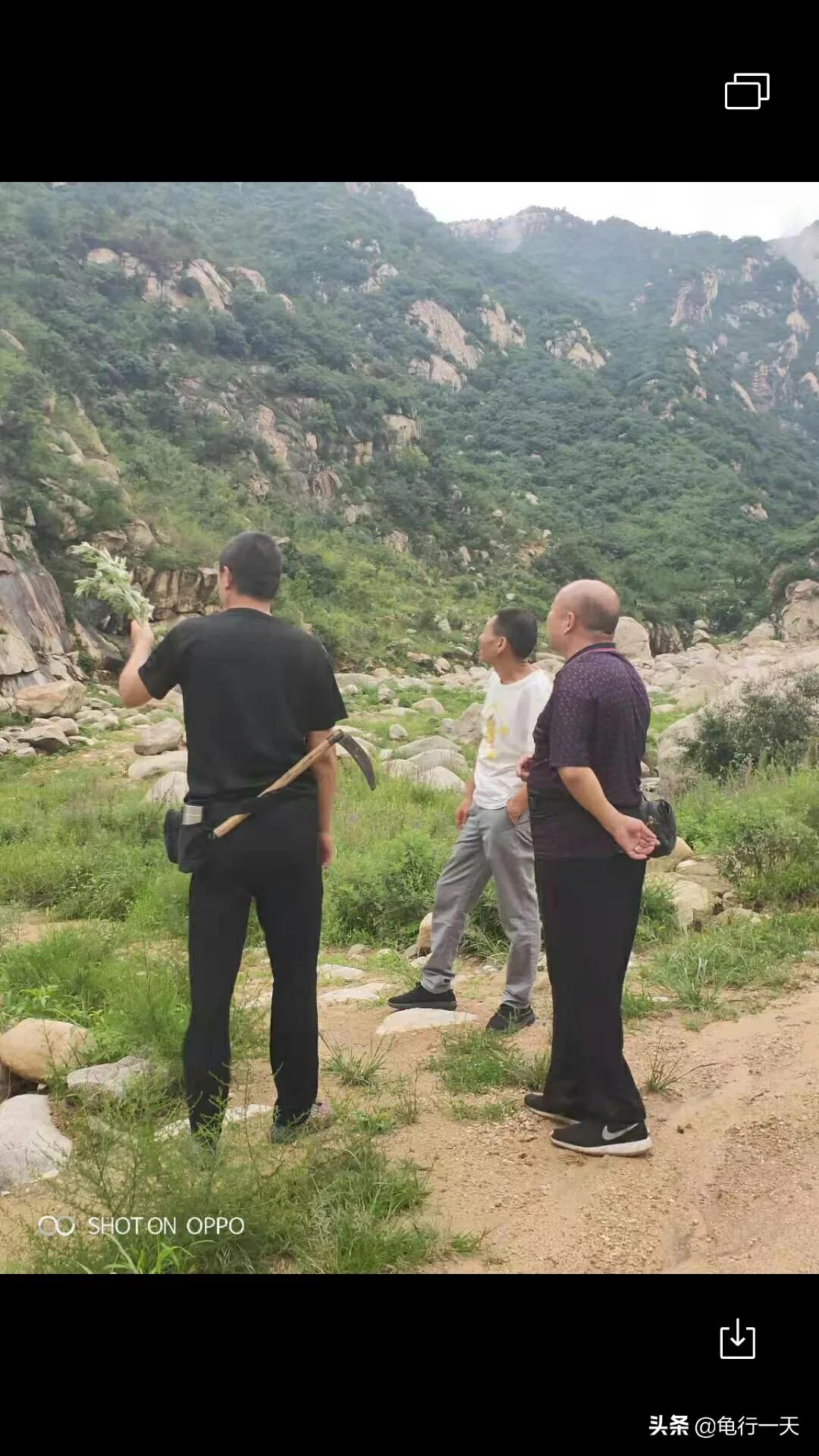 疫情有影响海外生活吗英语，疫情有影响海外生活吗英语作文