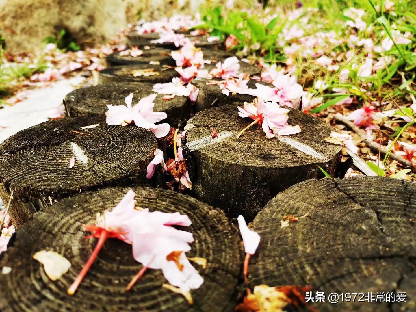 4美元怎么搭建网站