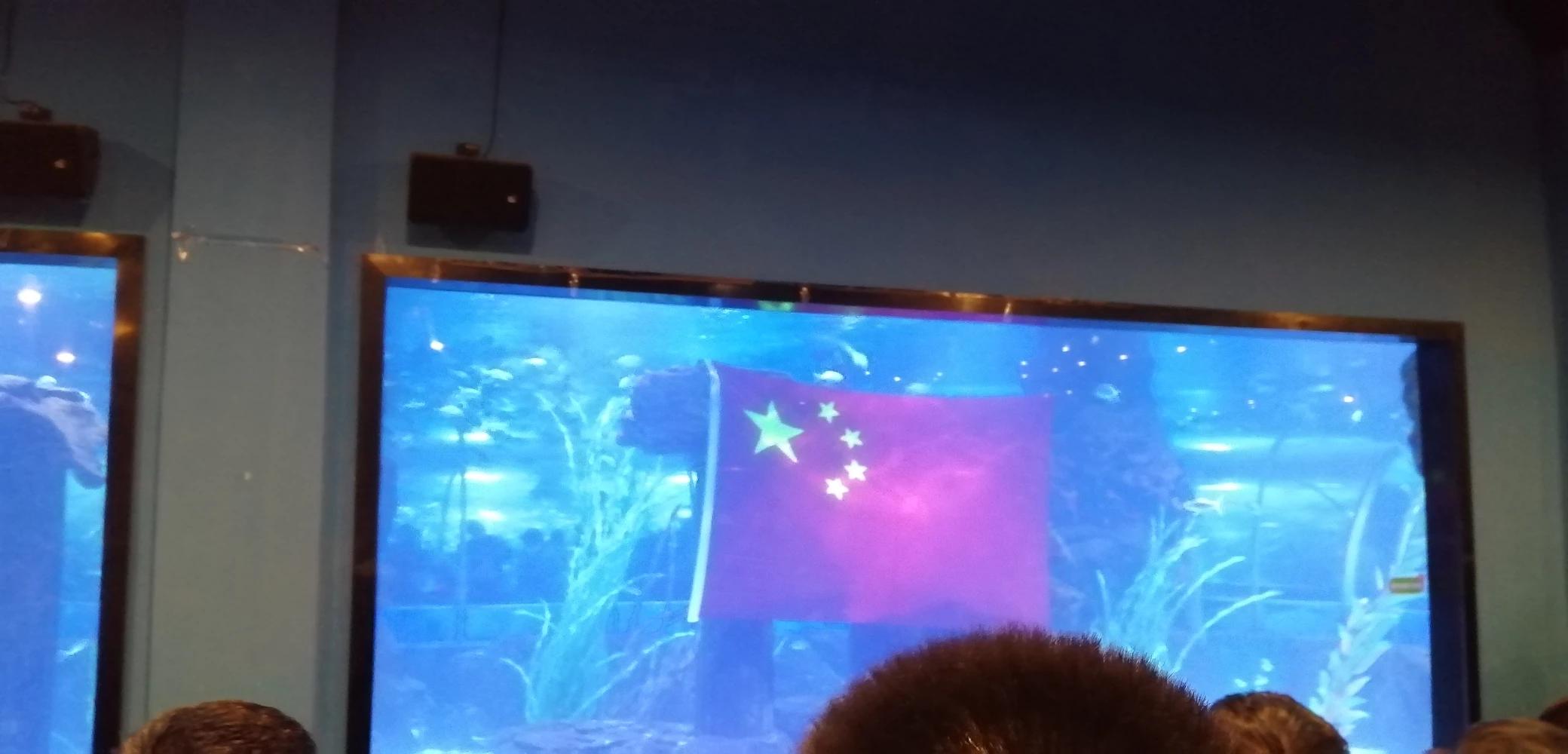 心酸！青海西宁工地下雪，农民工夫妇在工地披着被子取暖, 你怎么看？：国庆第一天青海下雪