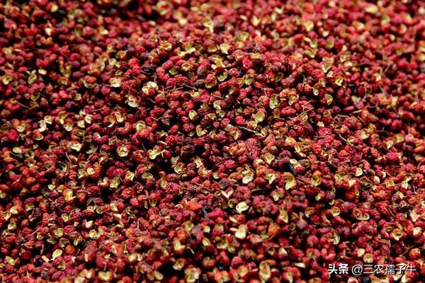 话题汽车报价直播,话题汽车报价直播文案