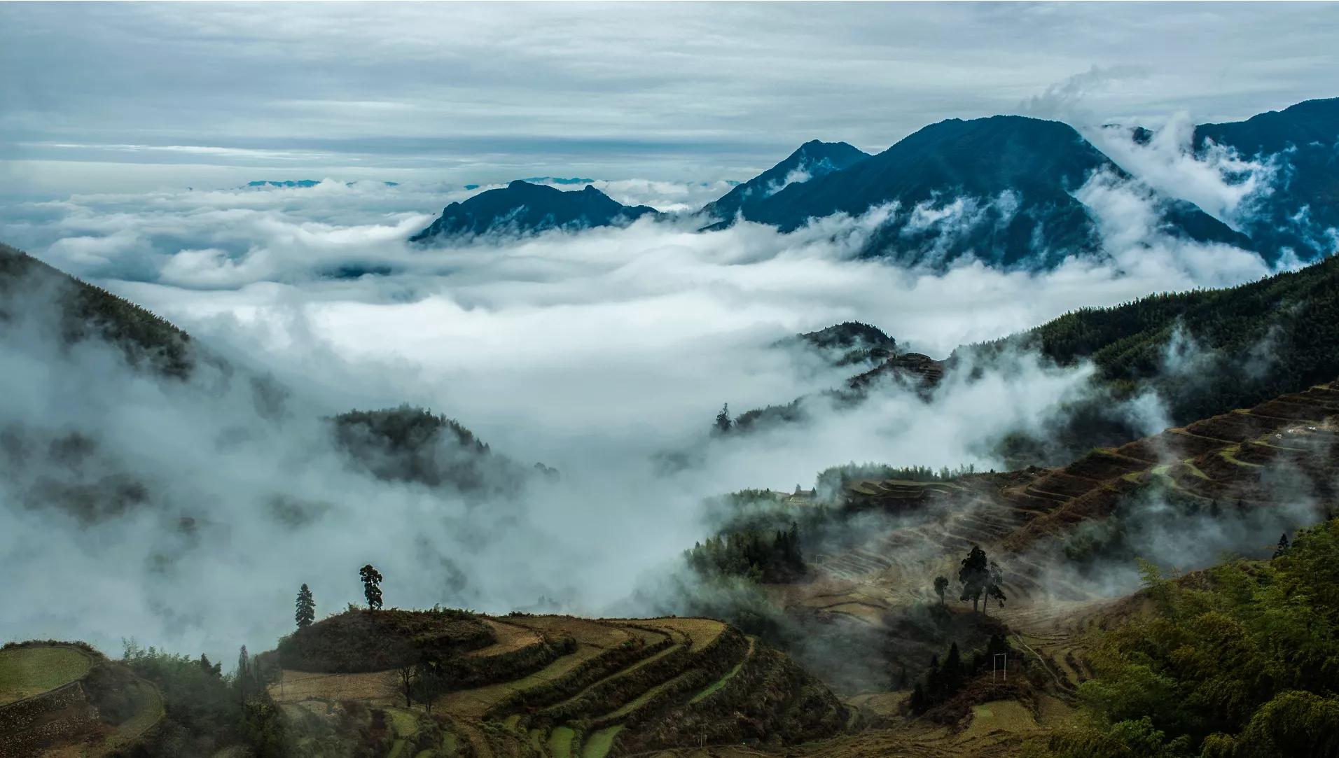 青摄影（谷雨春光晓，山川黛色青。叶间鸣戴胜，泽水长浮萍。摄影如何拍？）