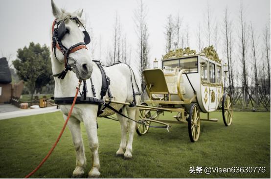 武汉哪里可以租马车,想用在婚礼上? 武汉哪里可以租马车,想用在婚礼上?