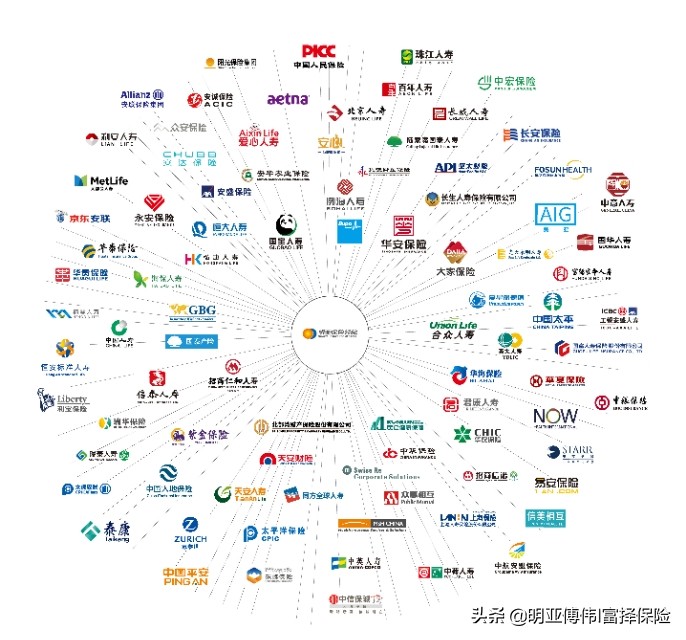 保险险种介绍咨询电话，保险险种介绍咨询电话