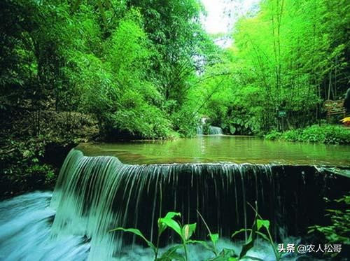 自己搭建网站营销方案