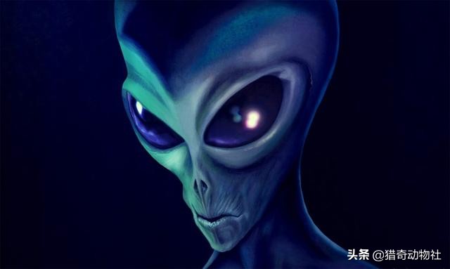 [发现火星生命迹象]如果在火星上发现了生命，将会是一个好消息还是坏消息？