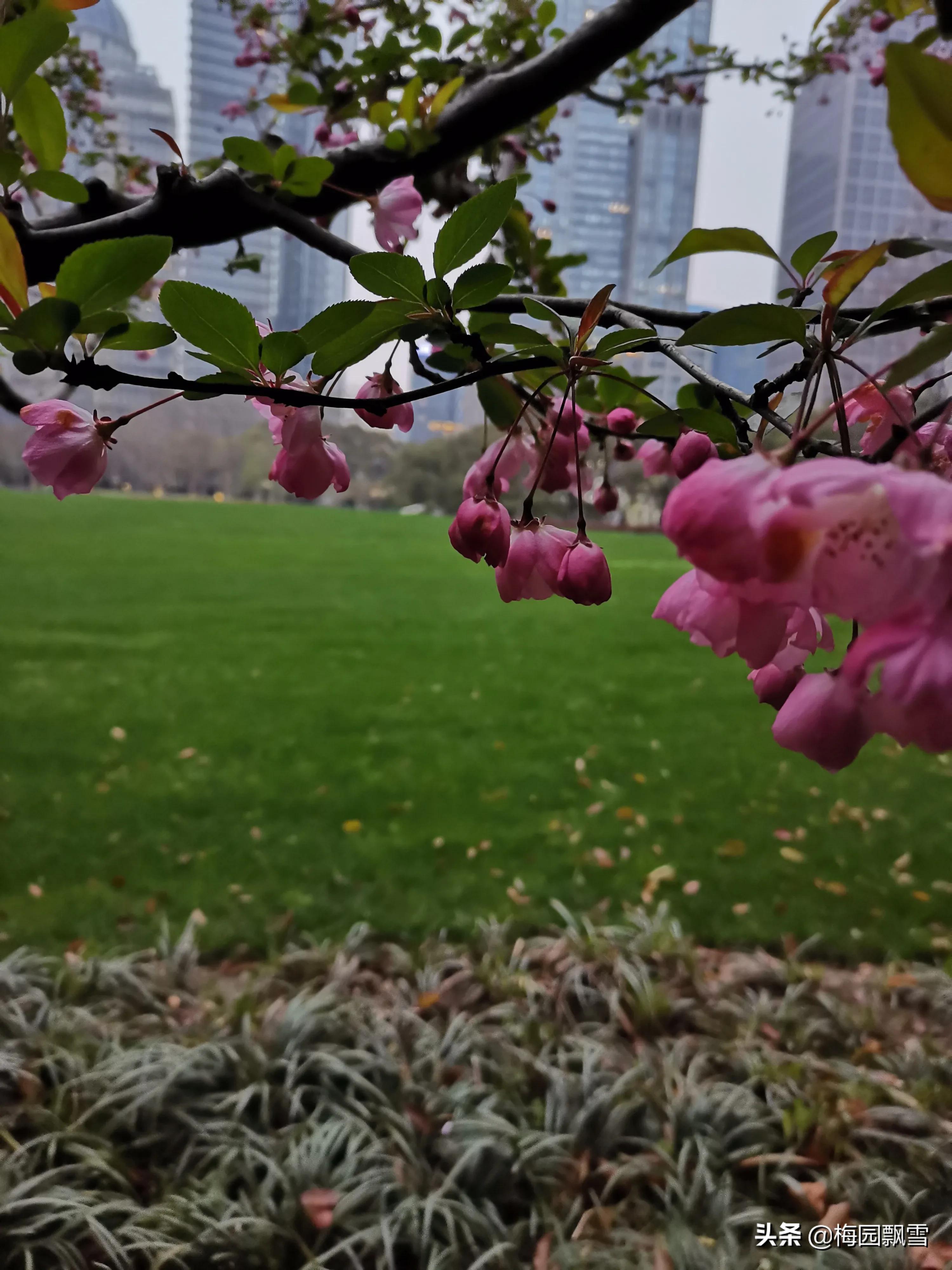 与“奈何桥”有关的凄美诗句?:凄美的诗句 与“奈何桥”有关的凄美诗句?:凄美的诗句