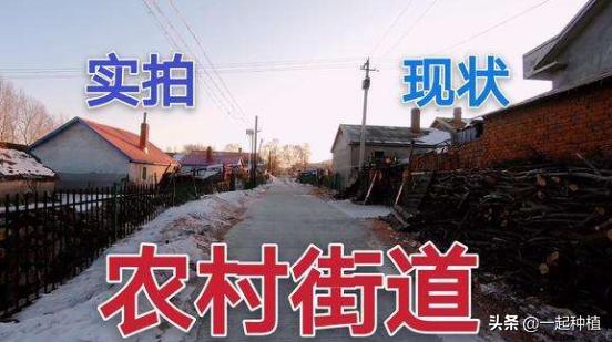 海外生活费低的国家排名，海外生活费低的国家排名榜
