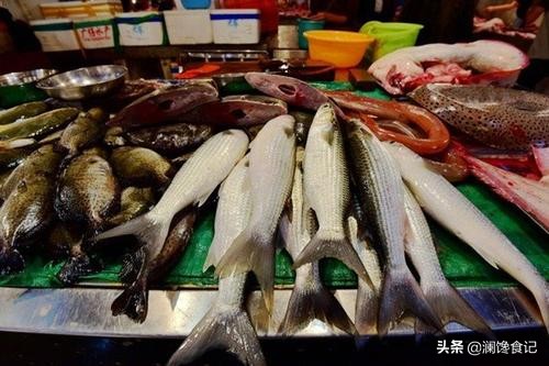 海外生活 抓海鲜视频，海外生活 抓海鲜视频大全
