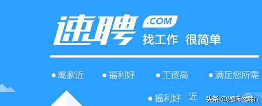 搭建网站的简历怎么写