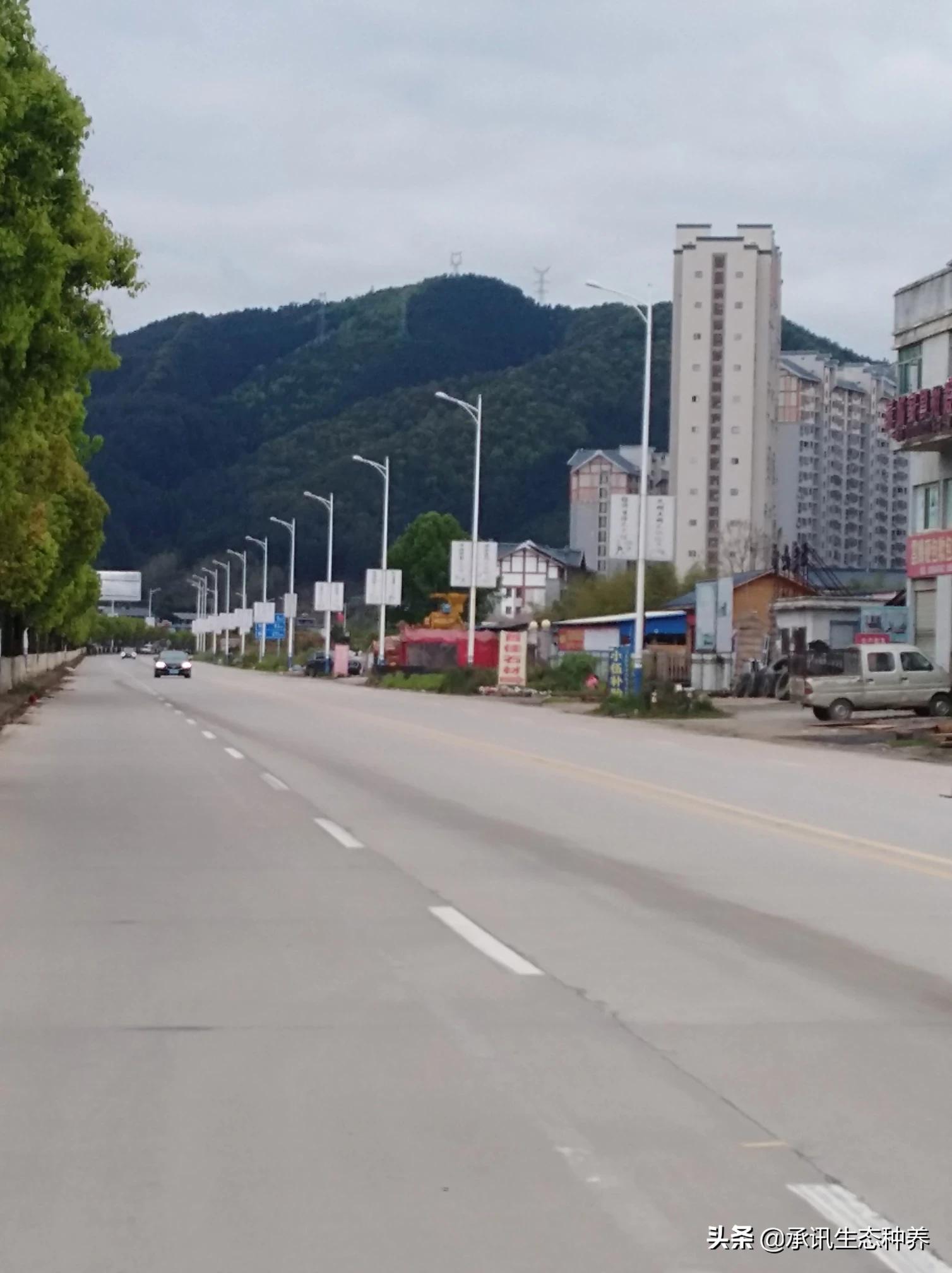 福建创业娱乐公司怎么样