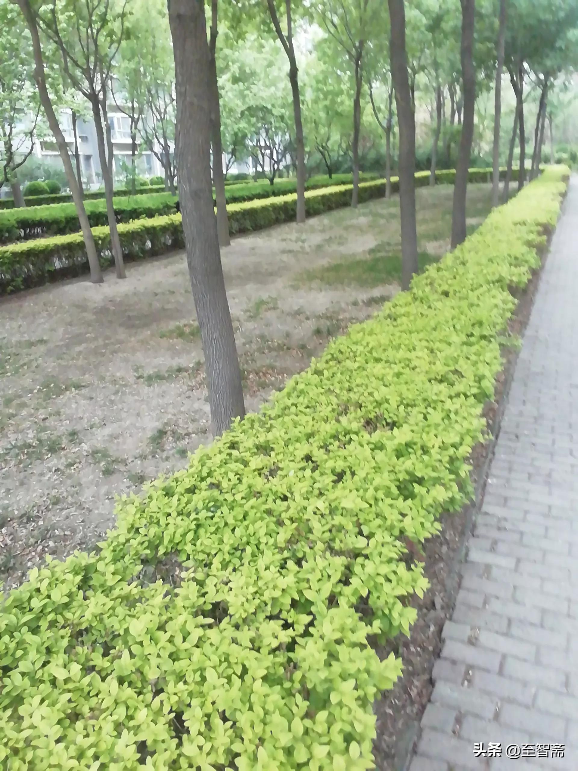 汽车报价签约,汽车报价签约流程