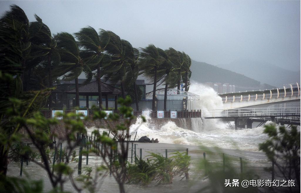 [台风米娜即将生成]2019米娜台风和利奇马台风哪个大？