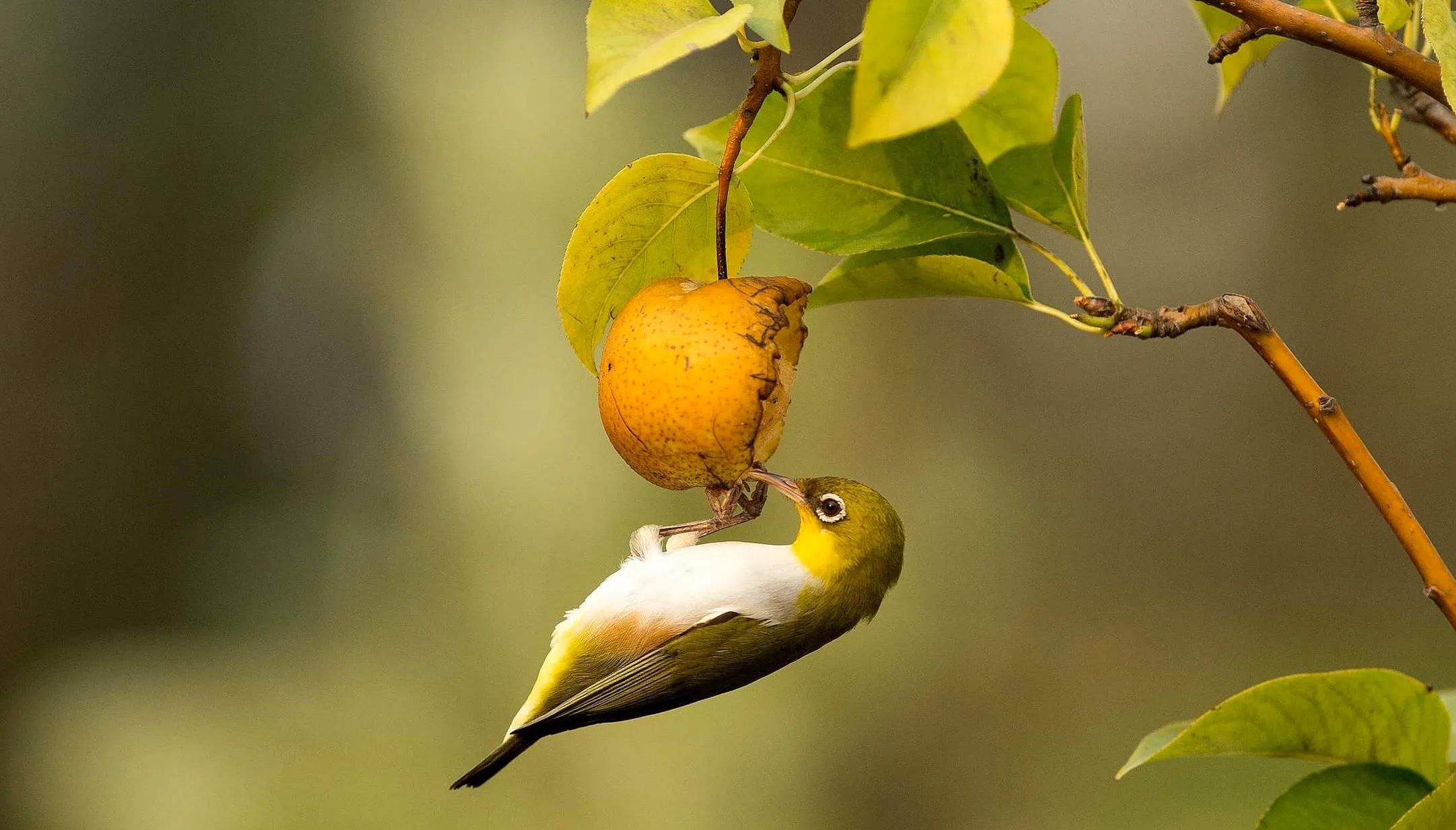 索尼rx100（索尼zv-e10和rx100m7怎么选？）