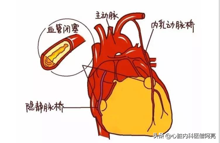 海外生活实用小技巧有哪些，海外生活实用小技巧有哪些呢