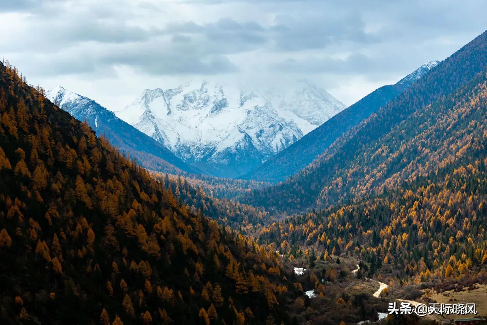 尼康d850（尼康d850深度评测？）