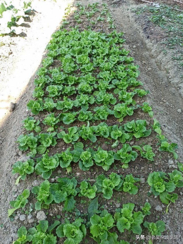 1500元(1500元等于多少万元?) 1500元(1500元等于多少万元?)