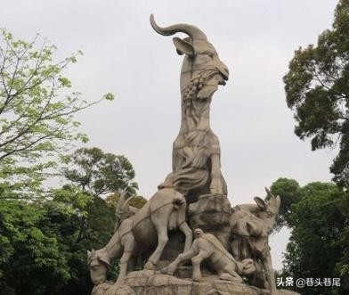 广州市感染者有多少了