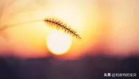 [带儿子出车双双遇难]妻子给丈夫名下车辆买保险，孩子出车事故可以理赔吗？