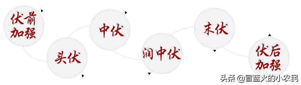 三伏天会更热吗（为什么入伏后就更热了？）