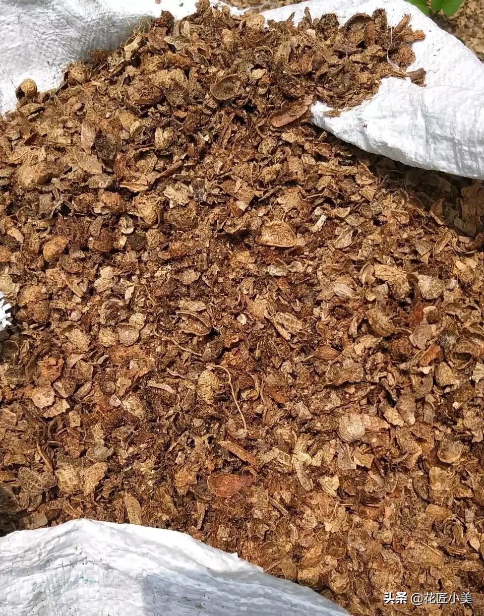 使用花生壳搭建网站