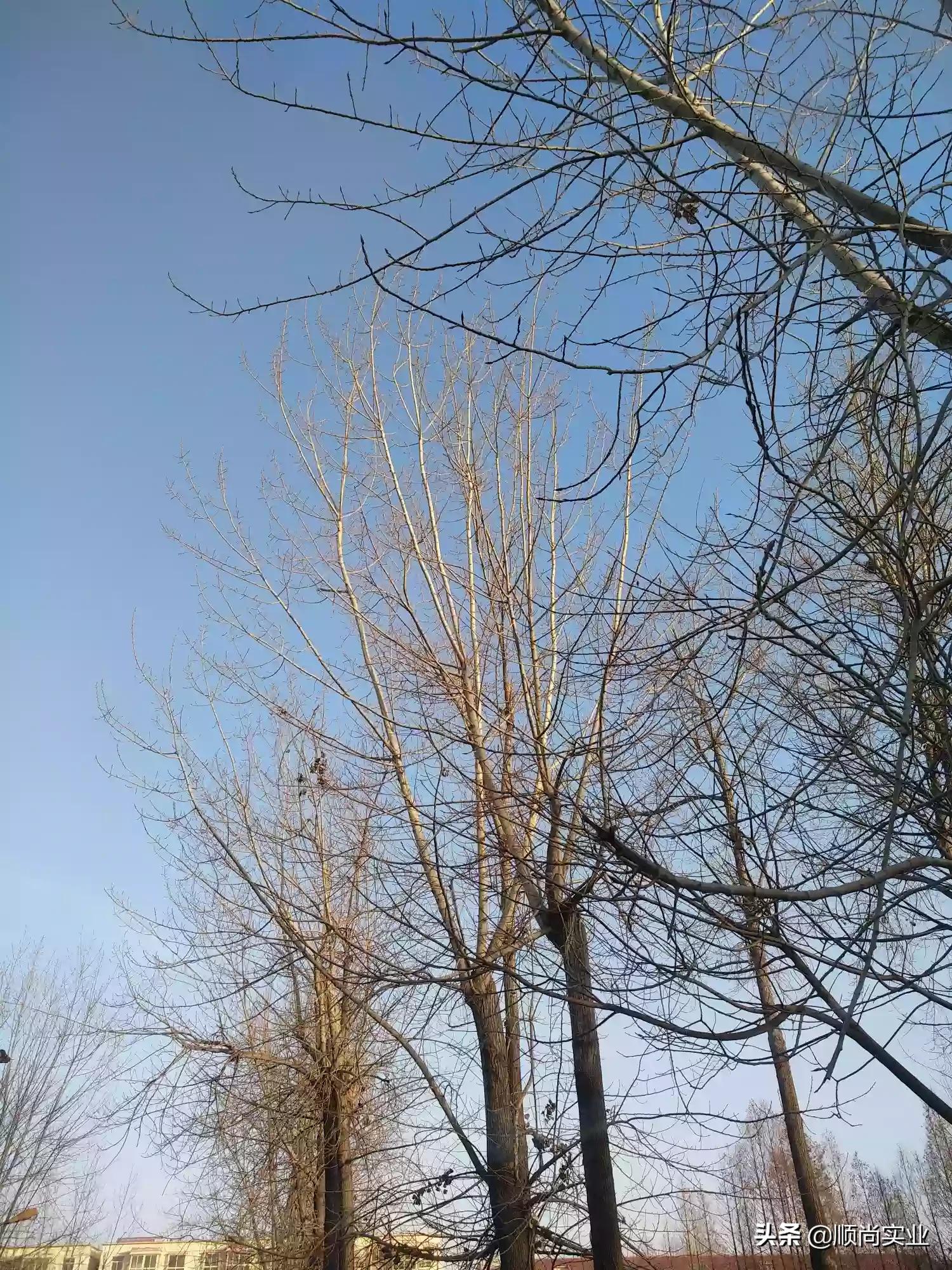 [虚假摆拍1人被罚]有个别自媒体人，为了播放量提高，虚假拍摄上传，怎么看呢？