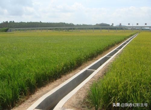 [第3批国补资金下达]中国进口粮食国家有补贴吗？