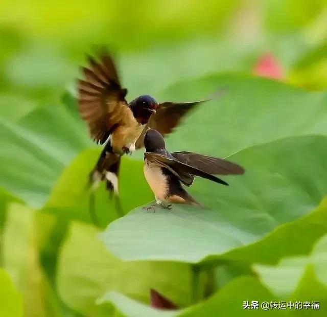 海外生活工作不好做，海外生活工作不好做怎么办