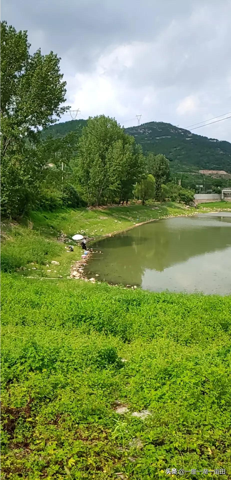 济南市中区去哪里钓鱼的 济南市中区去哪里钓鱼的