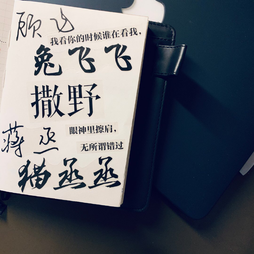 动漫中的百合,BL,腐女等等专业术语是什么? 动漫中的百合,BL,腐女等等专业术语是什么?