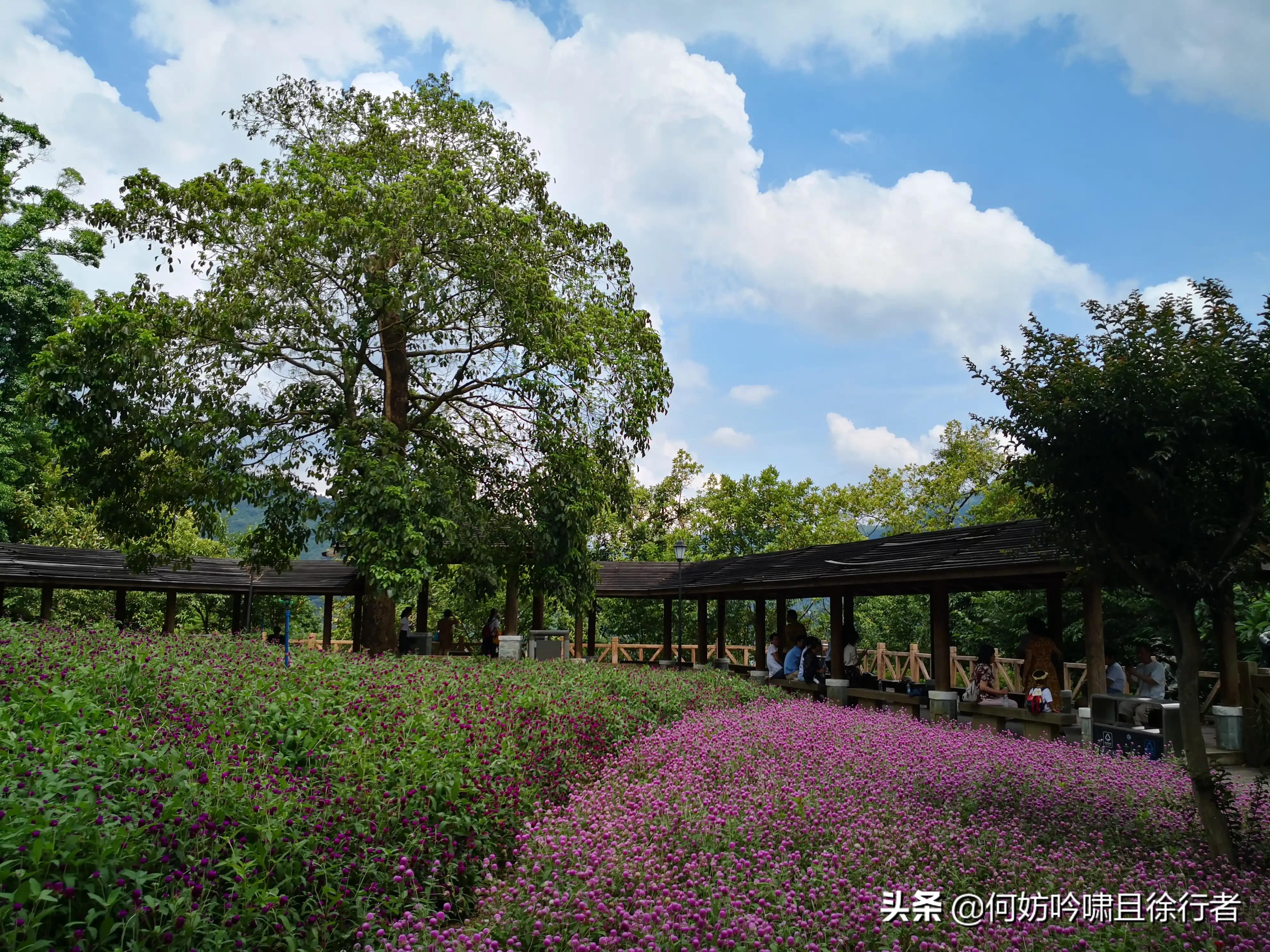 广州市流溪河是什么