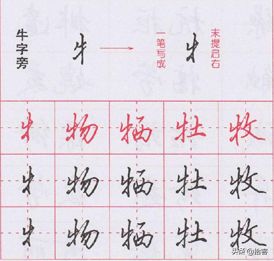 漂亮的硬笔行书字体