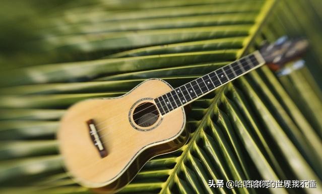 免费音乐软件免费音乐软件排行榜第一名