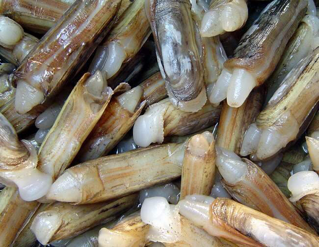 南通市哪里海鲜最便宜