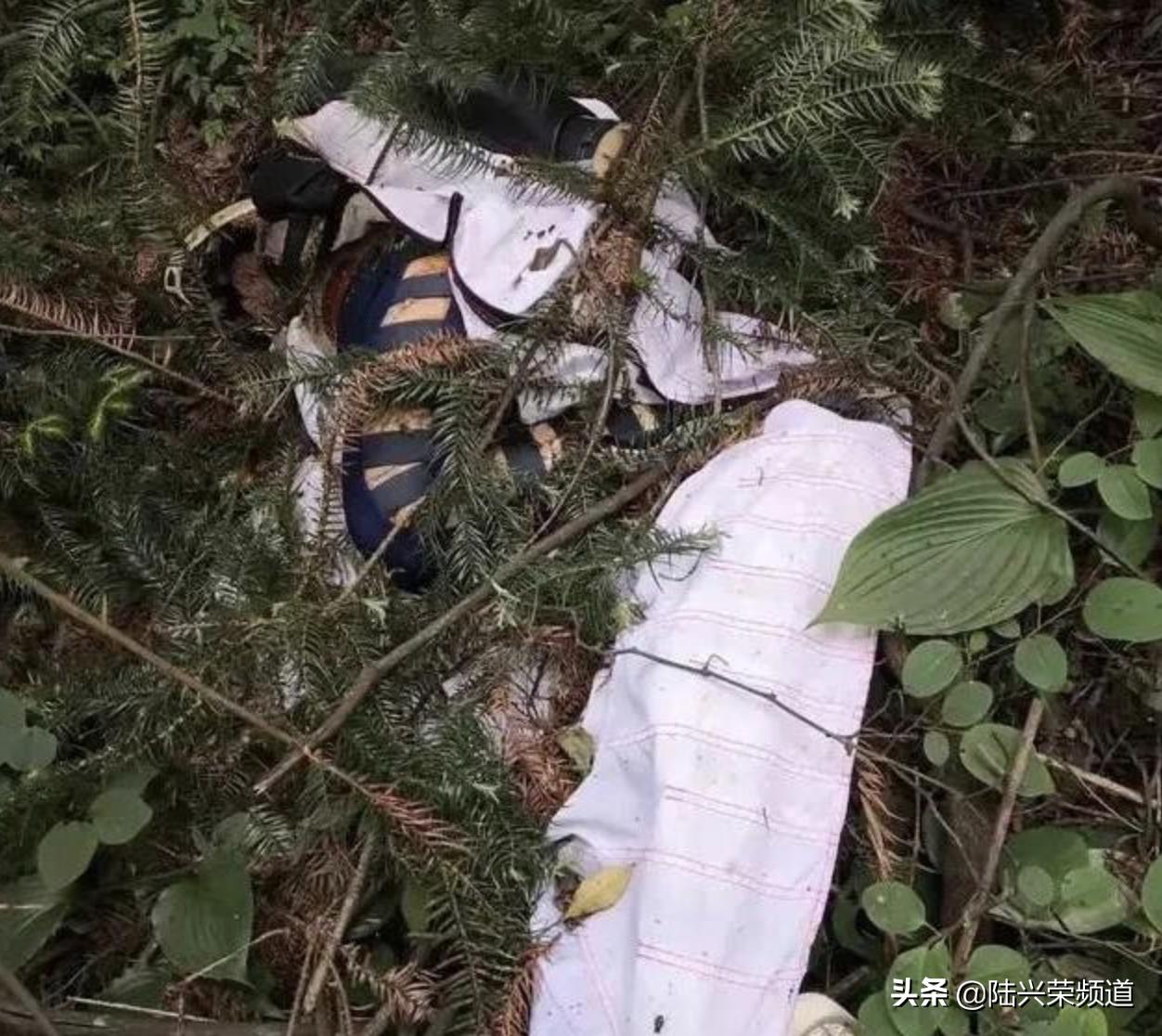 翼装飞行博主身亡