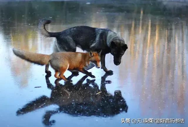 有些人有些事(为什么有的人对别人的事情总是喜欢指手画脚?) 有些人有些事(为什么有的人对别人的事情总是喜欢指手画脚?)