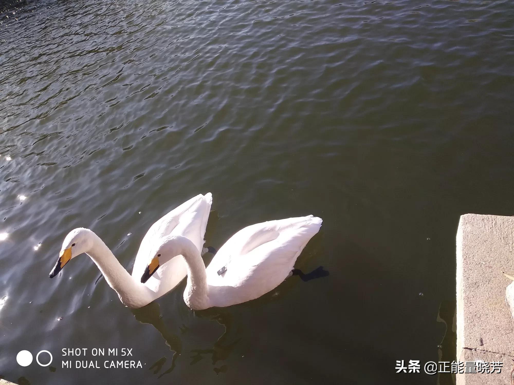 当街打人被飞踹（因为妻子和单位同事吃饭，西安一醉酒男子突然发飙，将妻子乘坐的出租车当街狂踹20多脚, 你怎么看？）