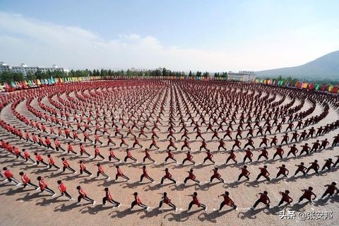 河南哪个学校学散打