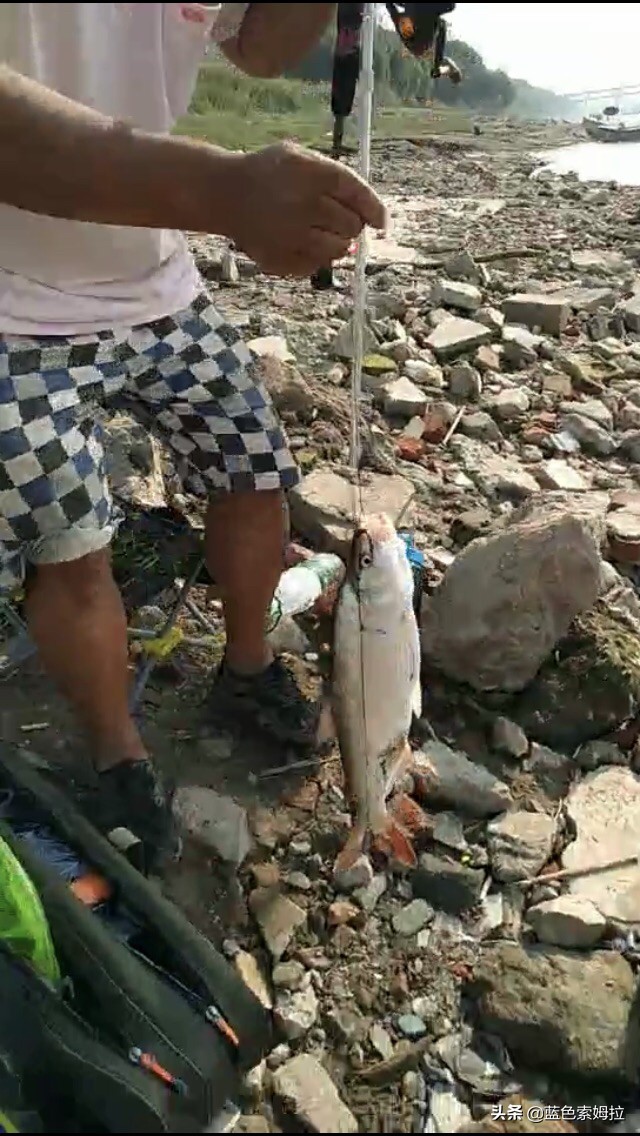 水下摄像机(目前公认最好的水下摄像头?) 水下摄像机(目前公认最好的水下摄像头?)