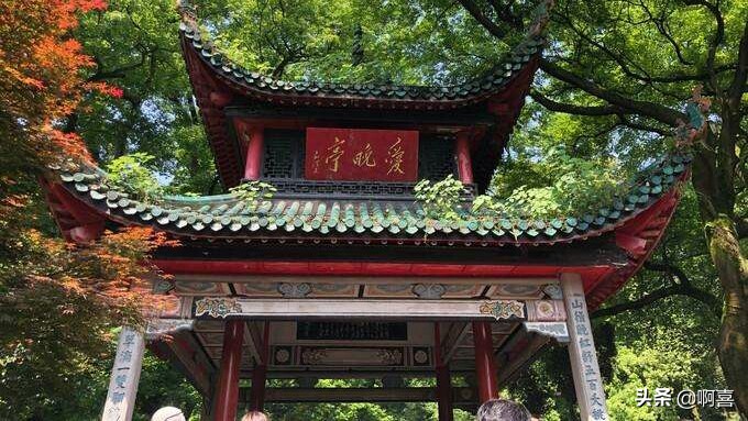 长沙市哪个区明星最多