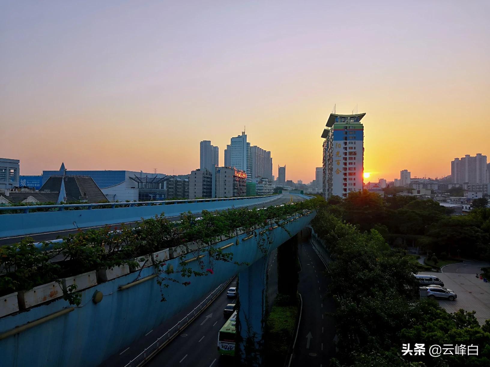 厦门市一个什么城市