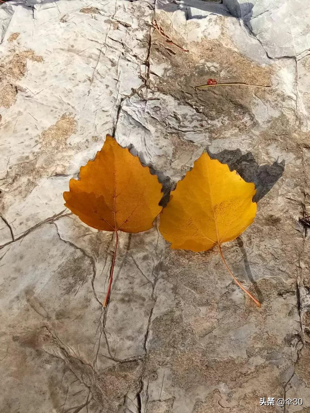 12月你好发朋友圈的句子2019年?:你好2019 12月你好发朋友圈的句子2019年?:你好2019